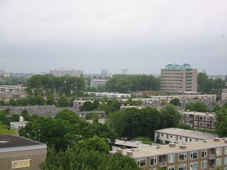 img 0496