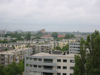 img 0498