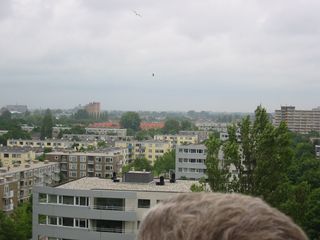 img 0499