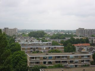 img 0500
