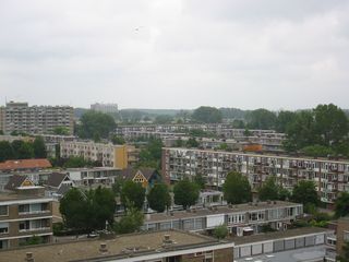 img 0501