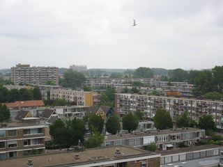 img 0502