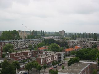 img 0503