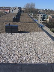 img 1560