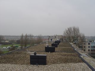 DSC07146