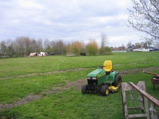 IMG 1681