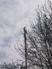 IMG 1689