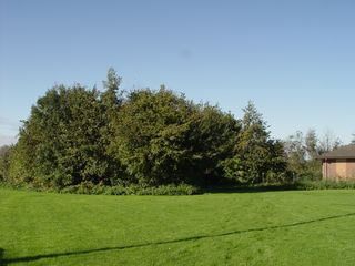 DSC07094