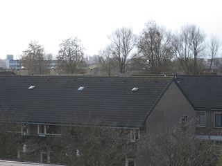 broekplein0019