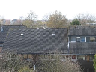 broekplein0020