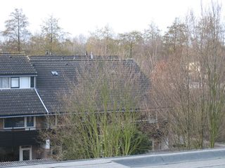 broekplein0022