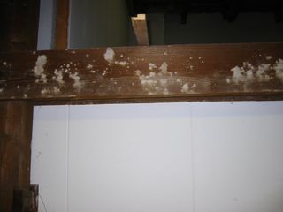 img 0872