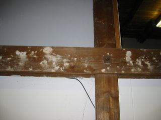 img 0873