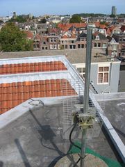 img 7277