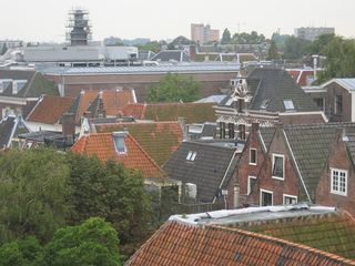 img 7228