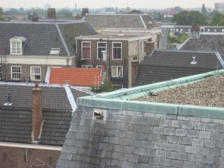 img 7231