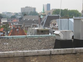img 7234