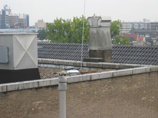 img 7236