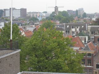 img 7238