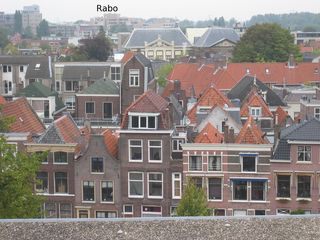img 7239
