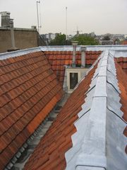 img 7254