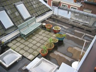 img 7261