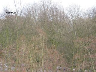 Brug0017