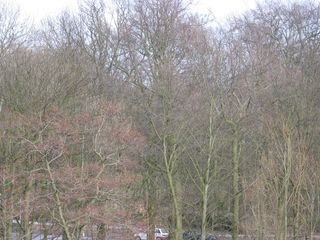 Brug0018