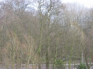 Brug0019