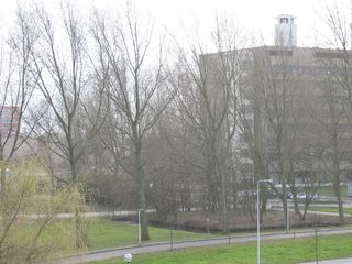 Brug0028