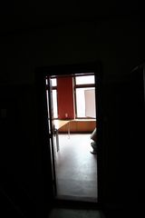 IMG 7733