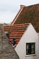 IMG 7763