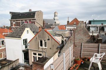 IMG 7784