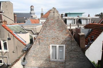 IMG 7801