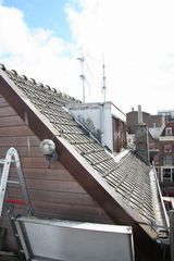 IMG 7803