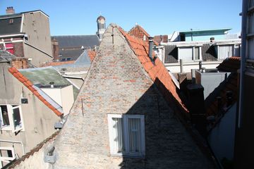 IMG 7852