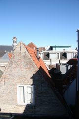 IMG 7877