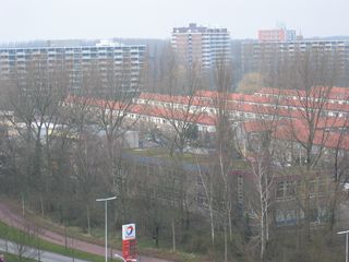 NodeJorg noord0003