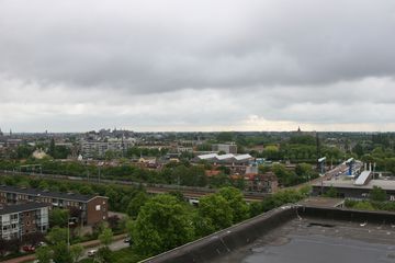 IMG 2248