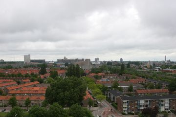 IMG 2250