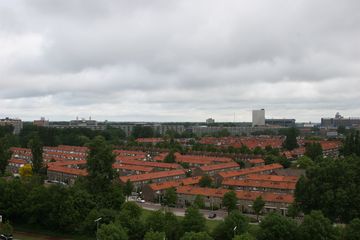IMG 2251