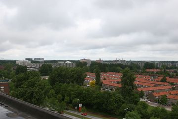 IMG 2252
