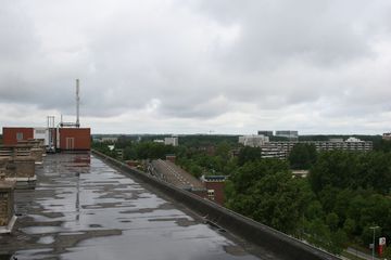 IMG 2253