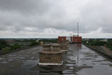 IMG 2254