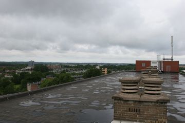 IMG 2255