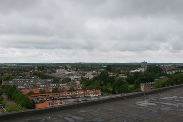 IMG 2256