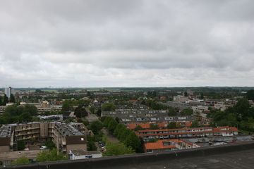 IMG 2257