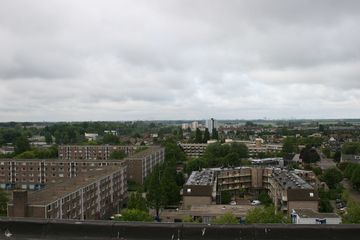IMG 2258