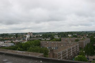 IMG 2259