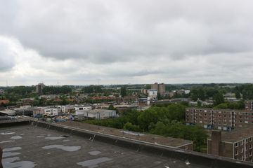 IMG 2260